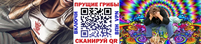 Галлюциногенные грибы Cubensis  цена наркотик  Волчанск 